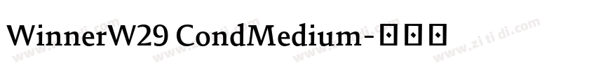 WinnerW29 CondMedium字体转换